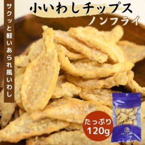 【 お徳用 】 小 いわし サラダ チップス 120g 揚げずにサクッと カルシウム たっぷり ノンフライ 大容量 【 送料無料 】 サクサク おや