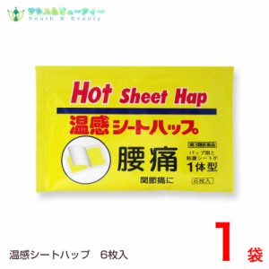 温感シートハップ６枚入【第3類医薬品】湿布 置き薬 配置薬 富山 大協薬品工業