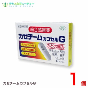 カゼチームカプセルG（10カプセル） 【指定第2類医薬品】大協薬品工業株式会社