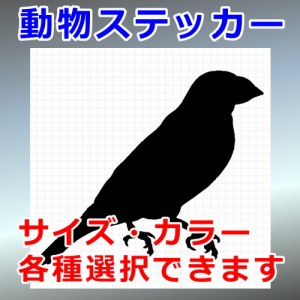 ブンチョウ シルエット 生物 鳥 屋外対応 防水 ステッカー シール