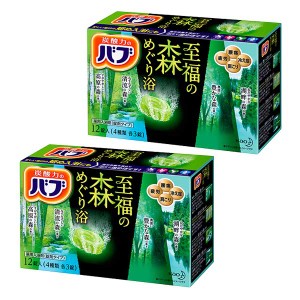 花王 バブ 至福の森めぐり浴 12錠入 ×2セット Kao 入浴剤 薬用入浴剤 錠剤タイプ 炭酸力 腰痛 疲労 冷え性 肩こり 医薬部外品 まとめ買