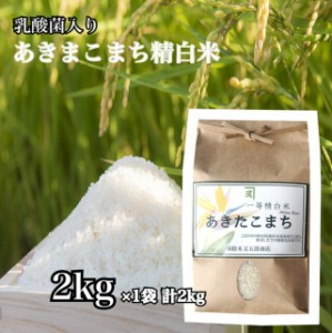 あきたこまち 一等米 白米 2kg 精米 お米 ごはん 国産米 秋田 アキタコマチ 健康 プレゼント ギフト 贈り物 農家直送