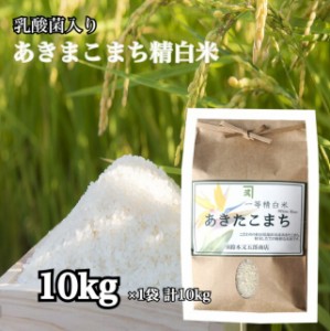 あきたこまち 一等米 白米 10kg 精米 お米 ごはん 国産米 秋田 アキタコマチ 健康 プレゼント ギフト 贈り物 農家直 2セット