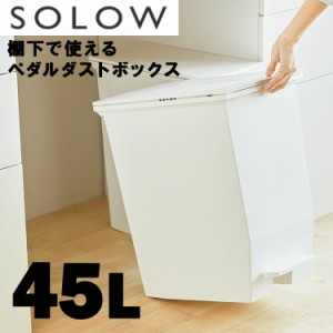 SOLOW（ソロウ）ペダルオープンツイン45L【ゴミ箱 ダストBOX 開閉 ペダルペール 角型 分別 ゴミ箱 おしゃれ モダン 北欧 棚下 キッチン 