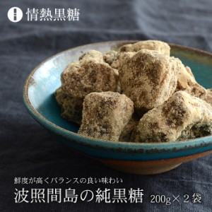 波照間島の純黒糖 200g×2袋 波照間黒糖 サトウキビ100％ 黒砂糖 送料無料