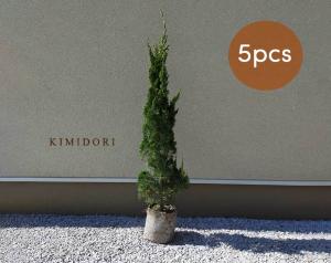 グリーン フェンス 目隠しの通販 Au Pay マーケット