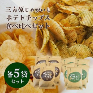 期間・数量限定 ご当地ポテトチップス食べ比べセット 三方原ポテトチップスうす塩・浜名湖産のり塩ポテトチップス各5袋