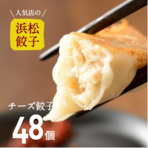 人気店の浜松餃子 とろ〜りとろけるチーズ餃子 48個 ご家庭用 浜松餃子