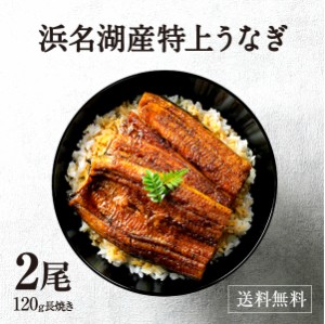 うなぎ 鰻 浜名湖 蒲焼き 2尾セット 冷凍便 母の日 父の日 お中元 お歳暮 贈答品 ギフト 土用の丑の日