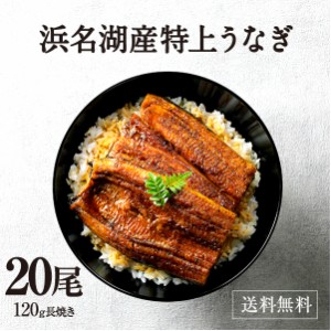 うなぎ 鰻 浜名湖 蒲焼き 20尾セット 冷凍便 母の日 父の日 お中元 お歳暮 贈答品に