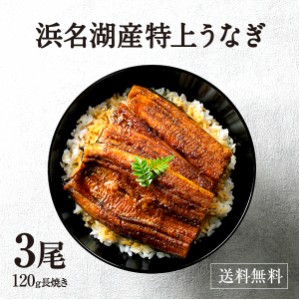 うなぎ 鰻 浜名湖 蒲焼き 3尾セット 冷凍便 母の日 父の日 お中元 お歳暮 贈答品に