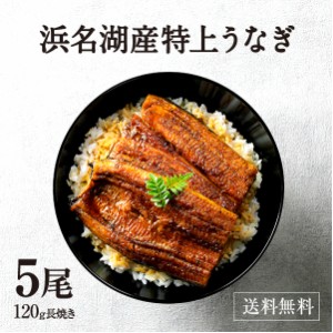 うなぎ 鰻 浜名湖 蒲焼き 5尾セット 冷凍便 母の日 父の日 お中元 敬老の日 お歳暮 贈答品 ギフト