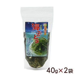 海ぶどう 塩水漬け 茎付き 40g×2袋 （平良商店） 【送料無料メール便】　プチプチ＆シャキシャキ食感がたまらない！