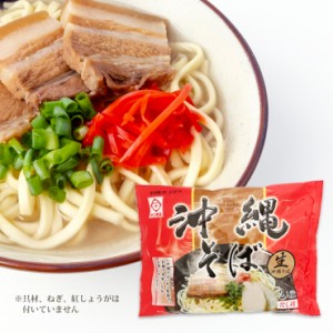 沖縄そば 2人前 生麺 だし付き【送料無料】レトルト食品