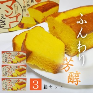 【沖縄宮古島産マンゴー】マンゴーケーキ【３箱セット】１箱（308g）お土産 パウンドケーキ 焼き菓子｜母の日 プレゼント ギフト