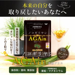 ノコギリヤシ AGA in 亜鉛プラス DMJえがお生活 栄養機能食品 日本製 31日分 ノコギリヤシ サプリ ノコギリヤシエキス AGA サプリ 　　　