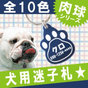   名入れ 犬 首輪 迷子札 名札 名前入り キーホルダー ペット 【 犬用 迷子札 】 ペットグッズ 子犬 誕生日 プレゼント 犬 男性 女性 ギ