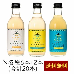 【送料無料 オーガニック生姜 栽培期間中農薬不使用ゆず】 土佐山新ジンジャーエール 柚子スカッシュ 飲み比べ 3MIX 計20本 ケース ｜ 20