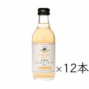 【オーガニック生姜 使用】 土佐山新ジンジャーエール 辛口 12本 ケース ｜ Mサイズ 200ml 瓶 辛口 ｜ 本格派 無添加 有機生姜使用 ご当