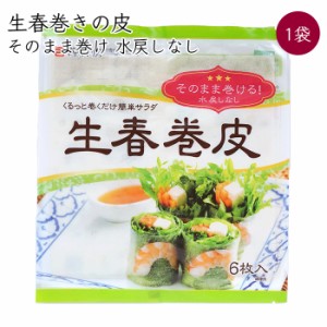 隆祥房 生春巻きの皮 1袋 6枚／袋《メーカー直送 クール便 冷蔵 》【 生春巻皮 生春巻き 水戻しなし 】 愛知県 生春 巻き 生 春巻き 皮 