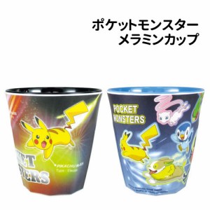 ポケットモンスター メラミンカップ PM-552550 /ピカチュウ＆リザードン 集合/