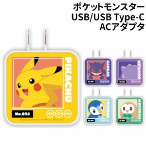 送料無料 ポケットモンスター USB/USB Type-C ACアダプタ POKE-815 /ピカチュウ ゲンガー メタモン ポッチャマ モクロー/