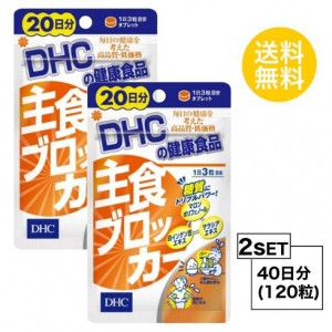 【お試しサプリ】【2個セット】【送料無料】 DHC 主食ブロッカー 20日分×2パック （120粒） ディーエイチシー サプリメント 白インゲン