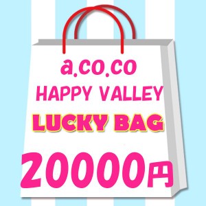 2023年　レディース　限定　a.co.co.　HAPPY VALLEY　アココ　ハッピーバレイ　ラッキーバッグ　　20000円！