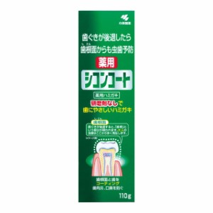 シコンコート 110g 歯磨き粉 はみがき 歯 歯ぐき 殺菌 口臭 小林製薬 医薬部外品 ミントの香り コーティング 殺菌剤、消炎剤で歯周病（歯