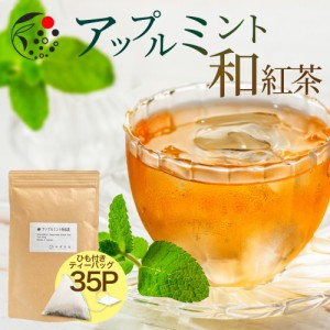 アップルミント×和紅茶 2.5g×35p ティーバッグ お茶 アイスティー 水出し 国産  アフタヌーンティー 冷茶 水出し ハーブ フレッシュ 爽