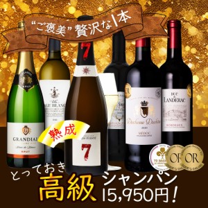 ワインセット 7年熟成シャンパン & ボルドー入り 銘醸地 充実ワイン 飲み比べ 6本 送料無料 一部除外 辛口 赤ワイン 白ワイン シャンパン