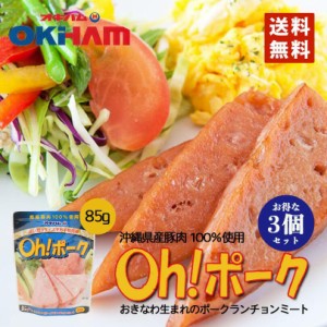 オキハム Oh!ポーク (85ｇ) 3個セット 送料無料 沖縄お土産 沖縄 お土産 土産 グルメ メール便 同梱不可 沖縄県産豚肉 調理 料理 プレゼ