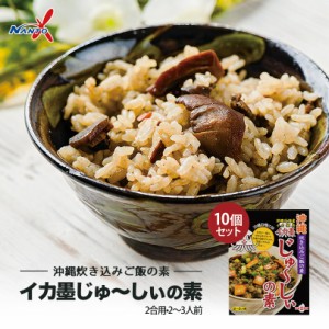 沖縄土産 イカ墨じゅーしぃの素 2〜3人前 ×10個セット 送料無料 沖縄 土産 ご当地 グルメ 郷土料理 琉球料理 家庭 炊き込みご飯 混ぜご