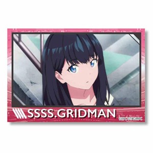 グリッドマン BIGスクエア缶バッチ  SSSS.GRIDMAN / B 宝多六花1