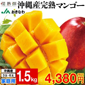 (ポイント2%) マンゴー 沖縄 家庭用 JAおきなわ 訳あり 完熟マンゴー 1.5kg アップルマンゴー 3〜6玉 送料無料 訳ありマンゴー mango 完