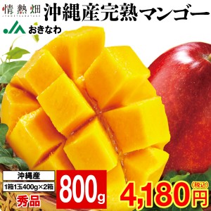 (ポイント2倍) マンゴー 沖縄 秀品 ギフト 800g （1箱1玉400g×2箱） JAおきなわ 完熟マンゴー アップルマンゴー 送料無料 mango 完熟 フ