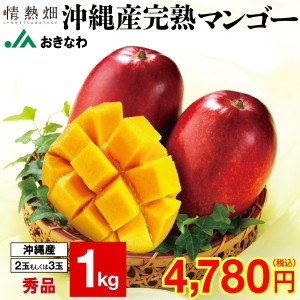 (ポイント2倍) マンゴー 沖縄 秀品 ギフト 1kg JAおきなわ 完熟マンゴー アップルマンゴー 送料無料 mango 旬の果物 完熟 フルーツ 果物 