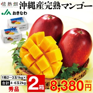 マンゴー 沖縄 秀品 ギフト 2kg （1箱2〜3玉1kg×2箱） JAおきなわ 完熟マンゴー アップルマンゴー 送料無料 mango 完熟 フルーツ 果物 