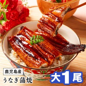 遅れてごめんね 敬老の日 うなぎ 国産 ギフト 遅れてごめんね 敬老の日 うなぎ蒲焼 170g 1尾 鹿児島 大隅産 鰻 蒲焼 プレゼント うなぎの