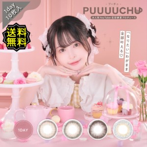 カラコン ワンデー 度あり PUUUUCHU 1day プーチュ 五彩緋夏 ひなちゃん5しゃい DIA14.2mm DIA14.5mm BC8.6 UV 1箱10枚入り (20枚) 低含