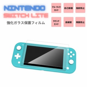 SWITCH LITE 専用液晶画面保護フィルム 【ブルーライトカットタイプ】 指紋防止　飛散防止　強化保護ガラス