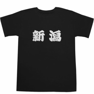 新潟 T-shirts【Ｔシャツ】【ティーシャツ】【都道府県】【町名】【漢字】【和】