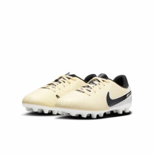 NIKE ナイキ ジュニア レジェンド 10 アカデミー HG DV4349700 700 レモネード×ブラック サッカー ジュニアスパイク