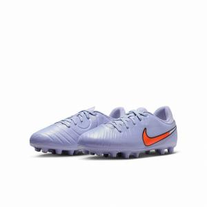 NIKE ティエンポレジェンド7 エリートHG 26cm 楽天市場】ティエンポ レジェンド 7 エリート hgの通販