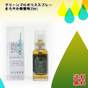 坂本養蜂場 グリーンプロポリス スプレー蜂蜜味 35ml×3本（500円お得）口内 のど飴 原液 キャンディ ブラジル 子供 携帯 のど ミスト は