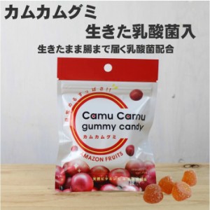 カムカムグミ 乳酸菌入り 14粒（42g）×10個 1袋に3億個の乳酸菌、天然ビタミンC 80mg、上質のマリンコラーゲン 400mgを配合　ネコポス発