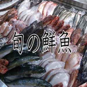 明治から続く鮮魚店 ４代目がセレクト! 北陸 石川 お取り寄せ　旬の地物 鮮魚セット（A）お歳暮　　ギフト