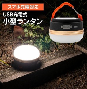 ２点セット カラビナ付き ナイトライト LEDライト 小型LEDランタン USB充電式 ランタン LED モバイルバッテリー カラビナ フック 暖色 小