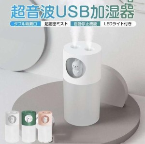 超音波加湿器 加湿器 卓上 ダブル噴霧口 小型 おしゃれ 可愛い 加湿器 270ml USB 給電式 LEDライト