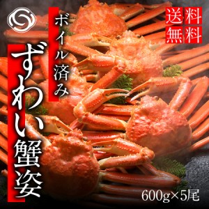 ギフト 高級海鮮 ズワイガニ ずわいがに 姿 ボイル 600g前後×5尾 かに 蟹 カニ